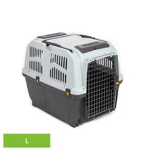 ybgEP[W/SKUDOCA^/TCY5iLj PTMP00205n[hL[P[X  L P[W ybgP[W y n[h L[ ړ o s n[hL[ qݕ n[hP[X s@ q