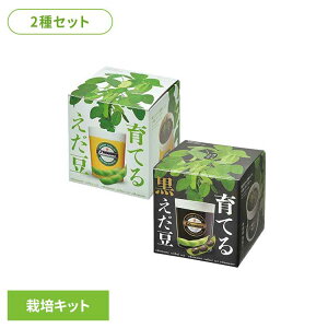 y14OFFzy2ZbgzĂ邦͔|ZbgiEj ͔|Lbg ͔|Zbg ܂  V| SEISHIN Mtg [2512SE]