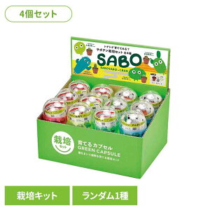 y4ZbgzĂJvZ T{e ͔|Lbg ͔|Zbg T{e V| SEISHIN K` ڂĂ Mtg gQgQ y2512Sz