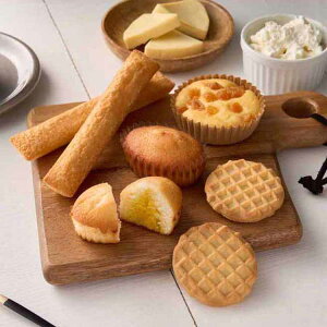 XC[cAgGD PBA-04AMtg XC[c tBiVF `[Y P[L bt AvRbg yTDz yszv