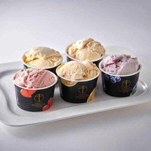 v~AACX10 PGS-036NMtg XC[c ĉَq  D ACX yTDz yszv