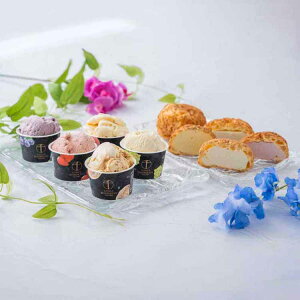 v~AACXZNV PGS-507Mtg XC[c ĉَq  D ACX yTDz yszv