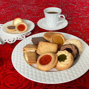 Kg[ZbN 13 NGS-20Mtg XC[c ĉَq P[L NbL[ }J Xgx[ ~N `R yTDz yszv