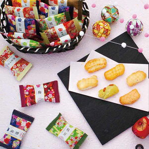 V KMC-20Mtg XC[c ĉَq ׂ  oGeB yTDz yszv