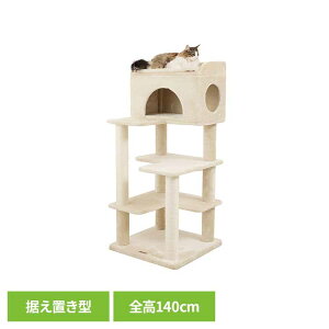 Mau^[ S[hNG x[W mt-039Mau Lbg^[ Lbgc[ gݗ LXNb`[ Lߋ ܂Ƃ |[ Lxbh ^s y2512Sz