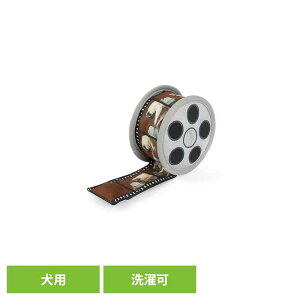 z[[E[tVl} [r[tB p ybgp pʂ V vȂ  Ɋ΂ v[g i fUC [N