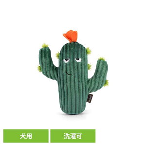 u[~OofB[Y JN^X p ybgp pʂ V vȂ  Ɋ΂ v[g i fUC [N