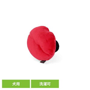 uoO bv p ybgp pʂ V vȂ  Ɋ΂ v[g i fUC [N