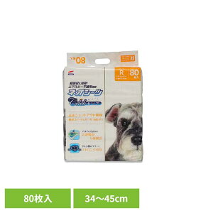 lIV[cZu M[80 3630446ybgpi ybgV[c ^ L z  Ck  gC ЃR[`[