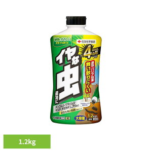 �s���Q������EX 1.2kg �E���� �� �Q�� �s���Q�� �_���S���V �����W���V �_�j �Q�W �N�� �A�� �Z�F���w���|
