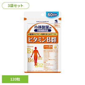 【3袋】ビタミンB群 120粒 ビタミン 美容 健康食品