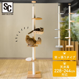 キャットタワー 木製 突っ張り KCCT‐244 おしゃれ 省スペース 爪とぎ 木登りキャットタワー 送料無料 猫タワー キャットランド キャットポール 猫ツリー 多頭飼い ナチュラル グレー【D】