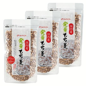 ≪ポイント2倍★26日9:59迄≫220g 送料無料 発芽 もち麦 GABA ベストアメニティ 【D】【B】 【メール便】