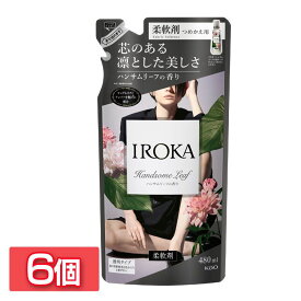 [6個セット]IROKA ハンサムリーフの香り つめかえ用 480ml 送料無料 花王 イロカ 柔軟剤 透明タイプ 詰め替え用 ピュアムスク アンバー 上品な香り Kao まとめ買い 【D】