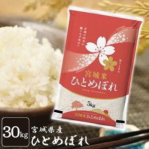   30kg  {錧Y ЂƂ߂ڂ 30kg(5kg ×6) ߘa6NY    1 30L qg{ oĎY  ͂  ꓙ p 30kg yTDzyTRSzy[J[