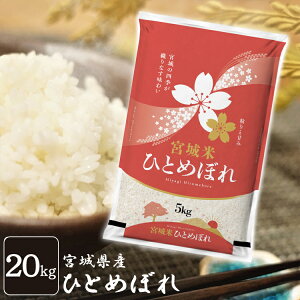   20kg  {錧Y ЂƂ߂ڂ 20kg(5kg ×4) ߘa6NY    1 20L qg{ oĎY  ͂  ꓙ p 10kg yTDzyTRSzy[J[