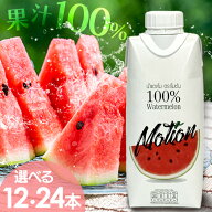 【12本・24本】100%ウォーターメロンジュース 330ml BSU07 すいか スイカ 果汁100％ 紙パック ジュース …