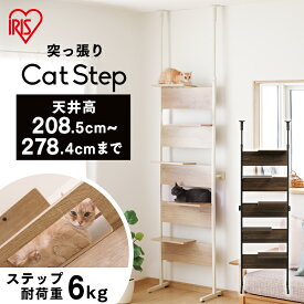キャットウォーク 壁 突っ張り 賃貸 壁を傷つけない 透明 壁付け キャットタワー 突っ張り 木製 スリム 省スペース おしゃれ キャットステップ アイリスオーヤマ 猫 ステップ付 クリアシェルフ インテリア CATS-68