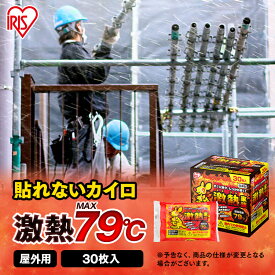 カイロ 屋外 貼らないカイロ30枚 60枚 120枚 240枚 貼れないカイロ 貼らない 使い捨てカイロ 使い捨て まとめ買い レギュラー マグマ 屋外 お出かけ レジャー 防寒 寒さ対策 防災 アイリスオーヤマ 激熱家族 *
