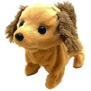 ߋ  ʂ sbR[l sbR[l gCv[h v[h go[ S[fgo[ ` RCP R[CPzfBG ~j`A_bNX dߋ o[