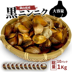 zCg Z ɂɂ 1kg ( 100g × 10pbN j _ ɂɂ Y jjN ɂɂ   jjN zCgZ _sgp jjN ɂɂ NHi Mtg