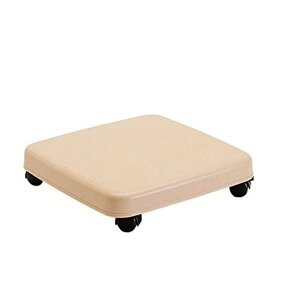 TR[vX`bN NS M x[W yLX^[tԕ30.1×s30.1×6.8cm ω׏d20kgz