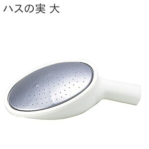 g{ 傤nX̎  (13E10E8^j