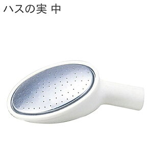 g{ 傤nX̎  (6E5E4^)