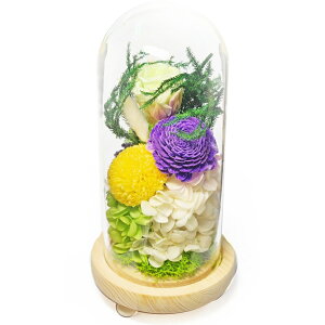 �X�[�v �K���X�h�[���A�����W�����g �v���U�[�u�h�t�����[ ���ؔT �O���[�� C36340 ������ ���d�p