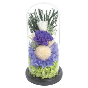 X[v KXh[AWg vU[uht[ јa C29360  dp