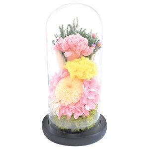 X[v KXh[AWg vU[uht[ ѐ C29392  dp