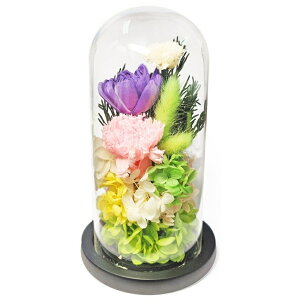 X[v KXh[AWg vU[uht[ ؁X C36400 zCg  dp