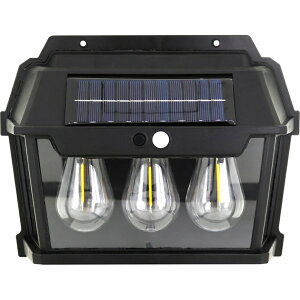 g[h [VZT[tƖ ouX^[3 ubN 30847