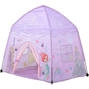 Skater XP[^[ TENT1 eg vZX i ƃLv vC[ fBYj[j