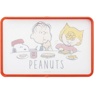 Skater XP[^[ KTMT1AG RۗʃK[ht܂Ȕ Xk[s[ s[ibci|XglR|Xj