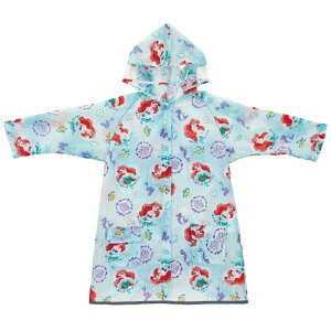 Skater XP[^[ RACO1M bNw郌CR[g Jbp AG fBYj[ (|Xgz lR|X)