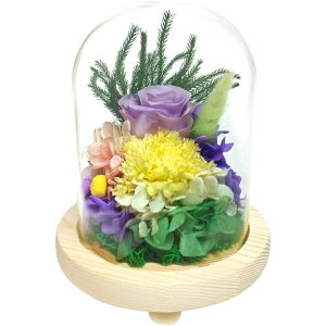 �X�[�v �v���U�[�u�h�t�����[ �K���X�h�[�� �^�� C37020 ���� ���d�p