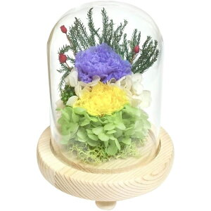 �X�[�v �v���U�[�u�h�t�����[ �K���X�h�[�� ���a C37530 ���� ���d�p