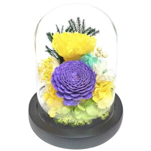 �X�[�v �v���U�[�u�h�t�����[ �K���X�h�[�� ���� C36730 ���� ���d�p