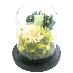 �X�[�v �v���U�[�u�h�t�����[ �K���X�h�[�� ���� C25000 ���� ���d�p