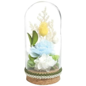 X[v vU[uht[ {gt[S  EH[^[u[ C33551  dp