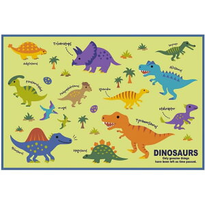 Skater XP[^[ VS1 W[V[g fBmTEX  j̎q ٓ  ^ sy ilR|Xj