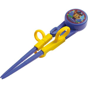 Skater XP[^[ ADXT1 fbNXg[jO pEpg[i|Xgz lR|XEj