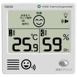 NZ ׂfW^xv CRV-1000y|Xgz lR|Xz