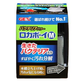 （まとめ）ロカボーイM バクテリアパワー【×3セット】 (観賞魚/水槽用品)