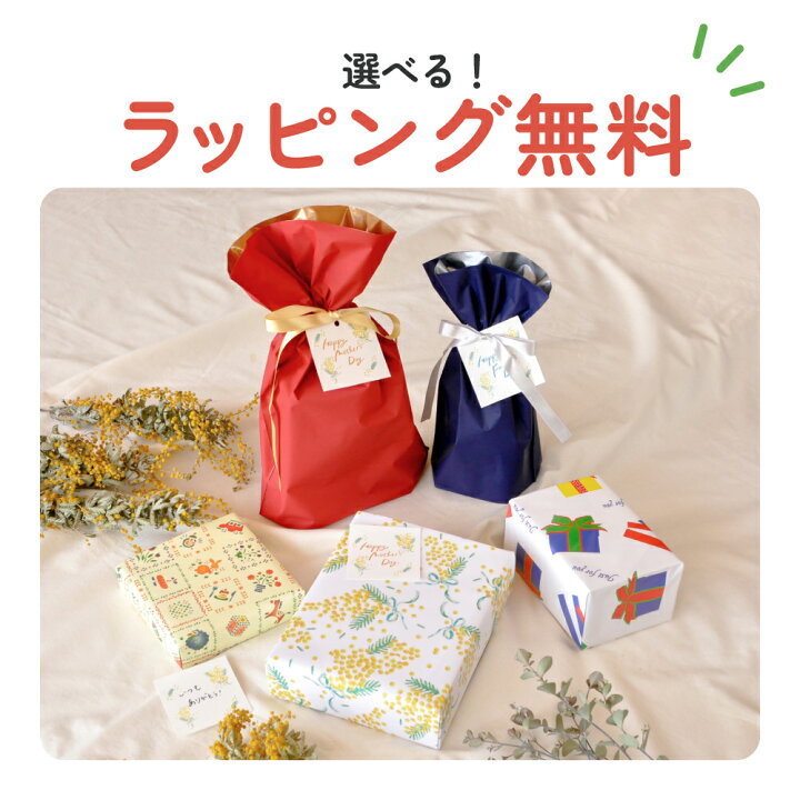 楽天市場】茶道具 初心者 セット 茶道 入門セット ミニセット 御点前  