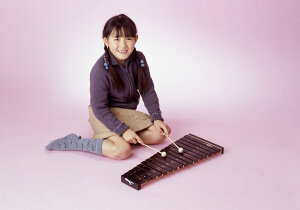 木琴 バチの人気商品 通販 価格比較 価格 Com