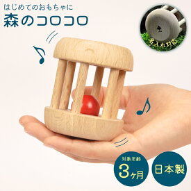楽天市場 赤ちゃん にぎる 音 おもちゃの通販