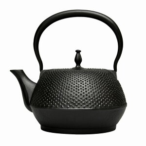 南部鉄器 急須 おしゃれの人気商品 通販 価格比較 価格 Com