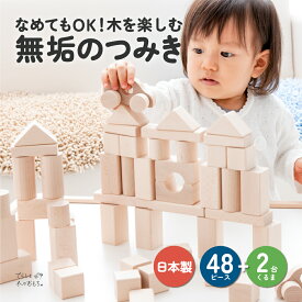 積み木 日本製 無塗装 1歳 半 知育 18ヶ月 誕生日 積木 つみき 出産祝い 木製 くるま 2台 48 ピース 孫 2歳 赤ちゃん ギフト プレゼント 酒井産業